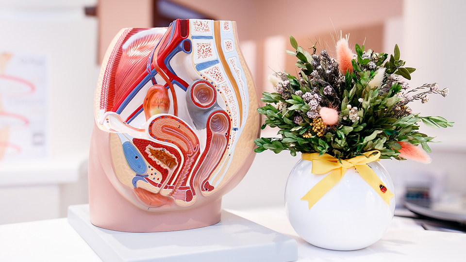 Программа обследования&nbsp;«Здоровая шейка матки»